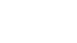 Logo 19