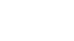 Logo 21