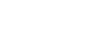 Logo 25